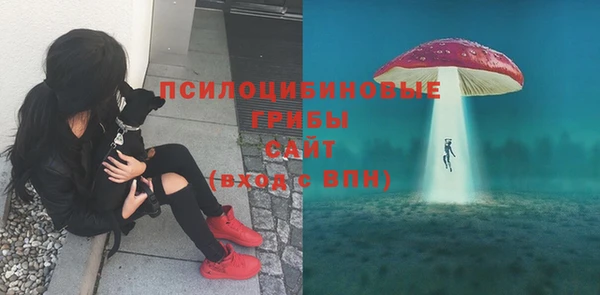 mdpv Медногорск