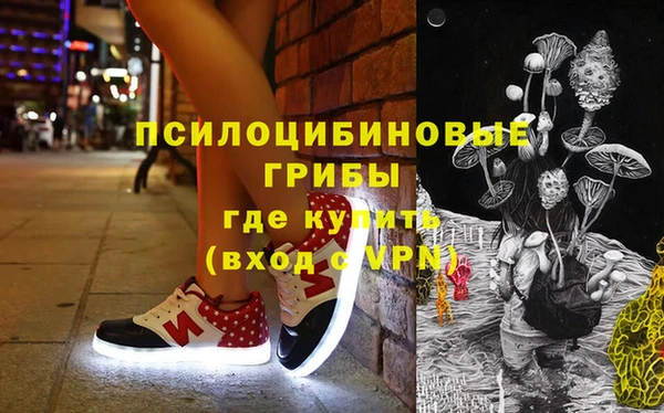 бошки Горнозаводск