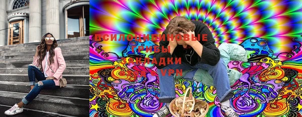 бошки Горнозаводск