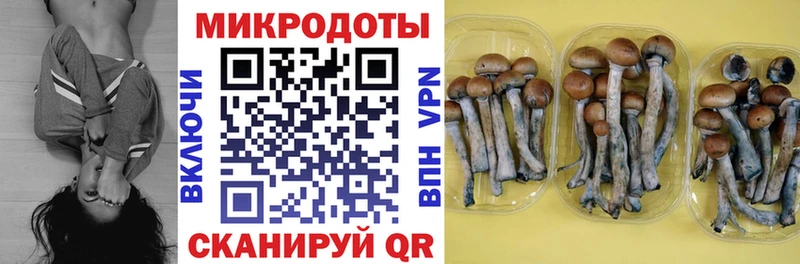 хочу   KRAKEN вход  сайты даркнета формула  Гуково  Псилоцибиновые грибы прущие грибы 