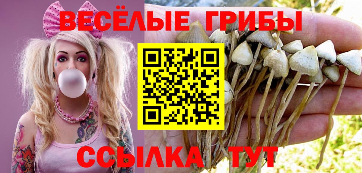 Псилоцибиновые грибы ЛСД  Гуково  где купить наркотик  Псилоцибиновые грибы GOLDEN TEACHER 