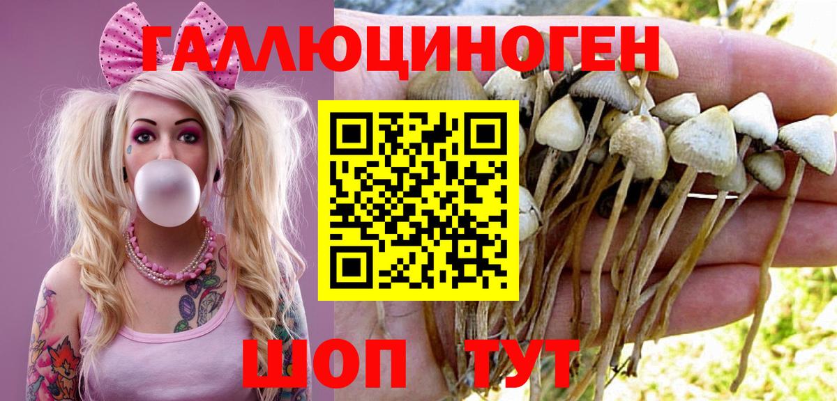 цены наркотик  Галлюциногенные грибы Psilocybe  Вход с VPN  Гуково 