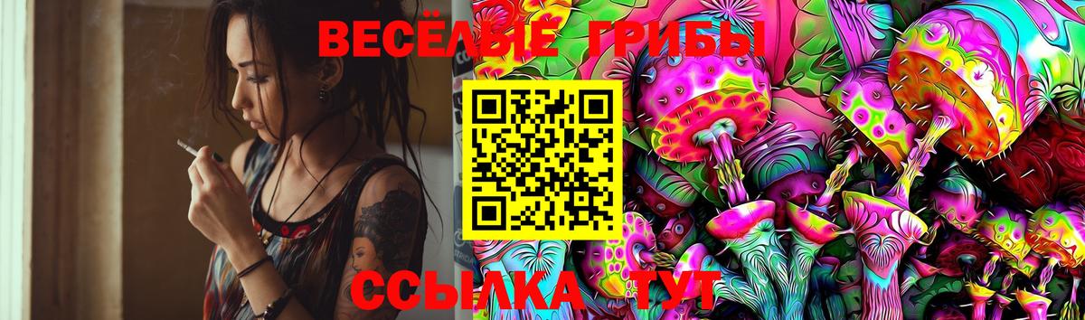 Псилоцибиновые грибы MAGIC MUSHROOMS Гуково
